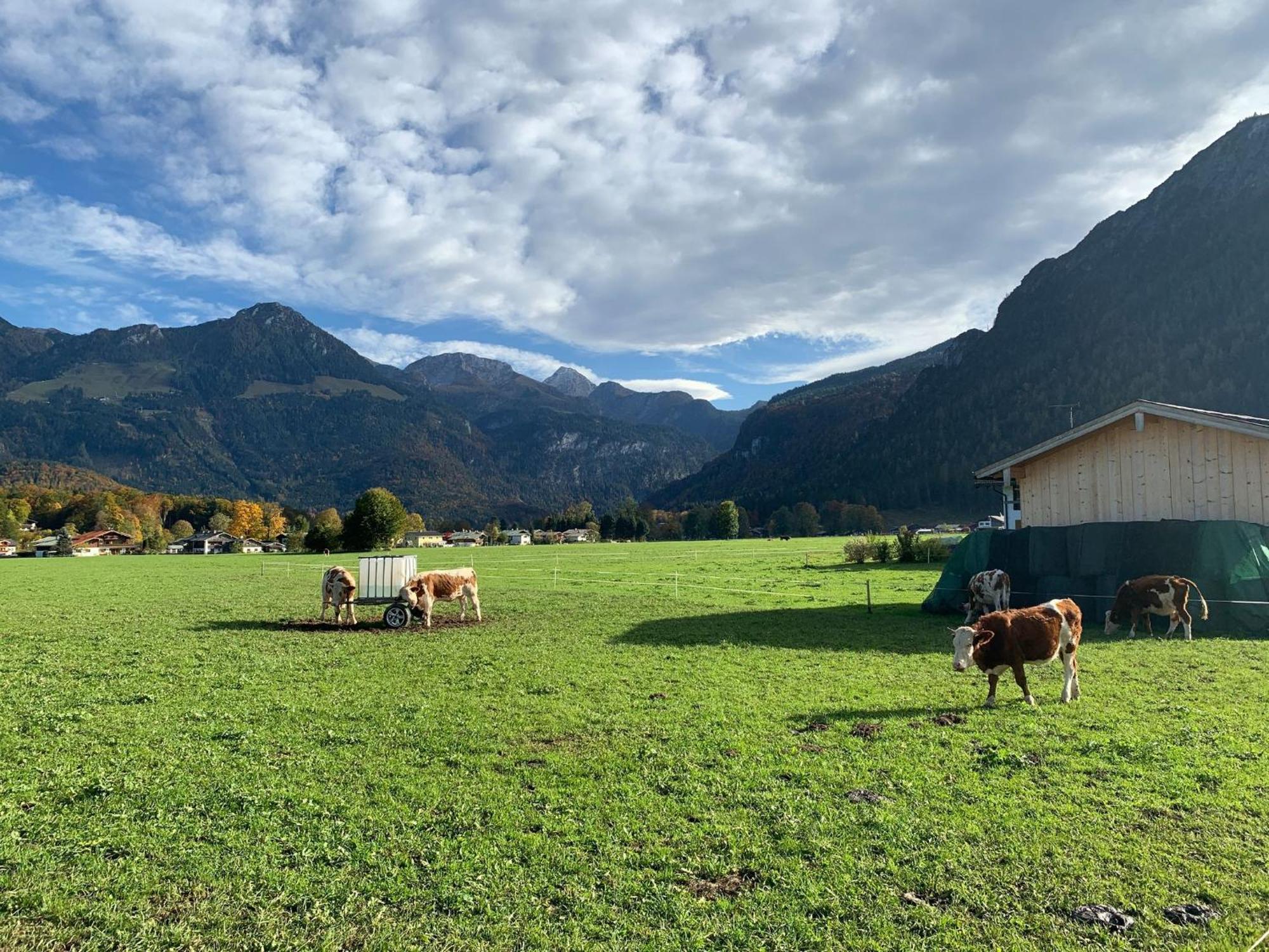 Ferienwohnung Hoher Göllblick Schönau am Königssee Exterior foto